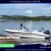 Mestra 160 Fishing - Image 3