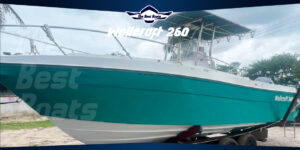 Wellcraft 230