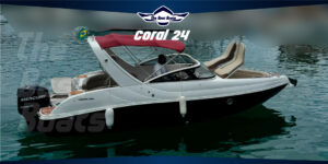 Coral 24
