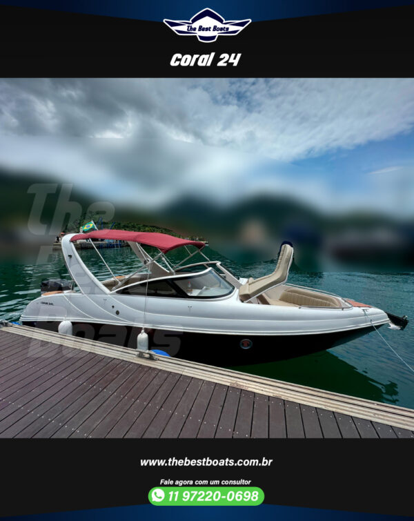 Coral 24 - Image 2