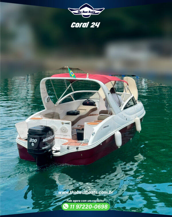 Coral 24 - Image 5