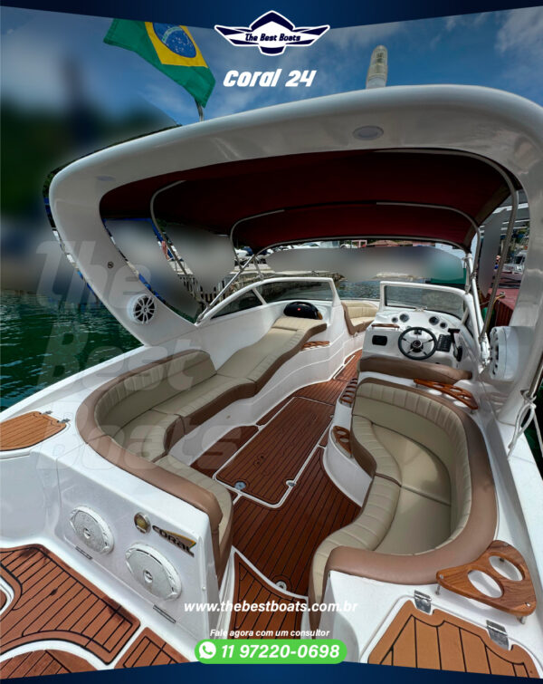 Coral 24 - Image 4