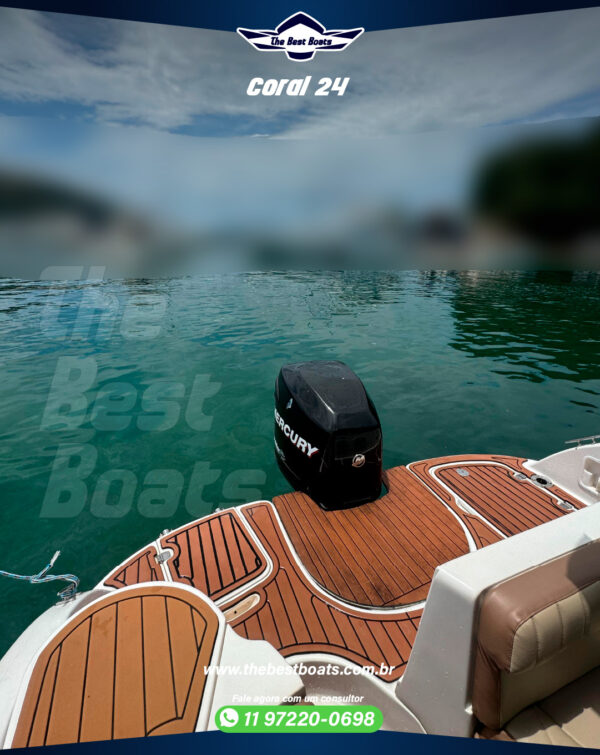 Coral 24 - Image 3