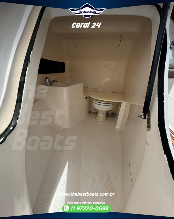 Coral 24 - Image 6