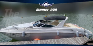 Runner 290