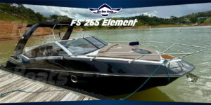 FS 265 Element