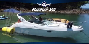 Phantom 290