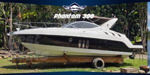 Phantom 300