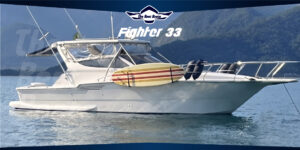 Fighter 33