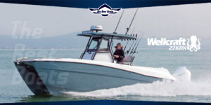 Wellcraft 27KRK