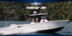 Wellcraft 280